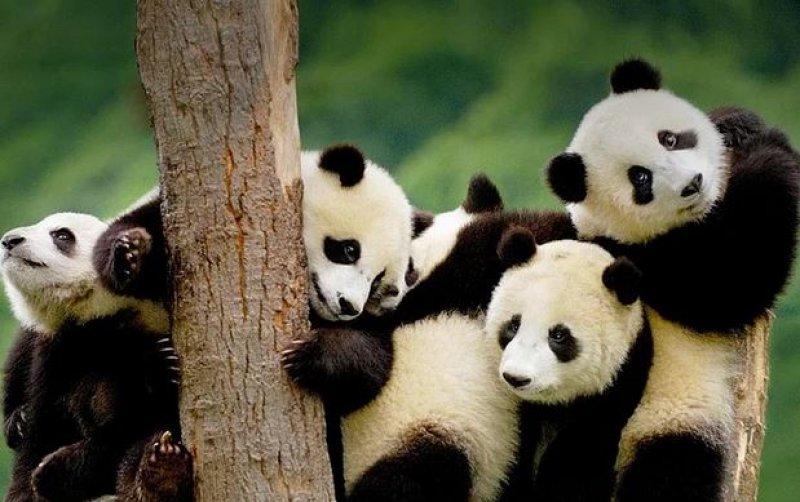 Mükemmel zamanlamayla çekilmiş en güzel fotoğraflar 