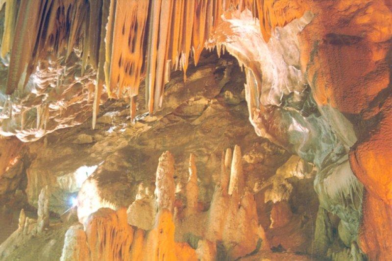 Mükemmel zamanlamayla çekilmiş en güzel fotoğraflar 