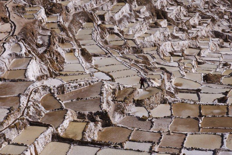 Mükemmel zamanlamayla çekilmiş en güzel fotoğraflar 