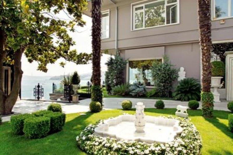 Feryal Gülman: Evimin duvarlarını öpüyorlar