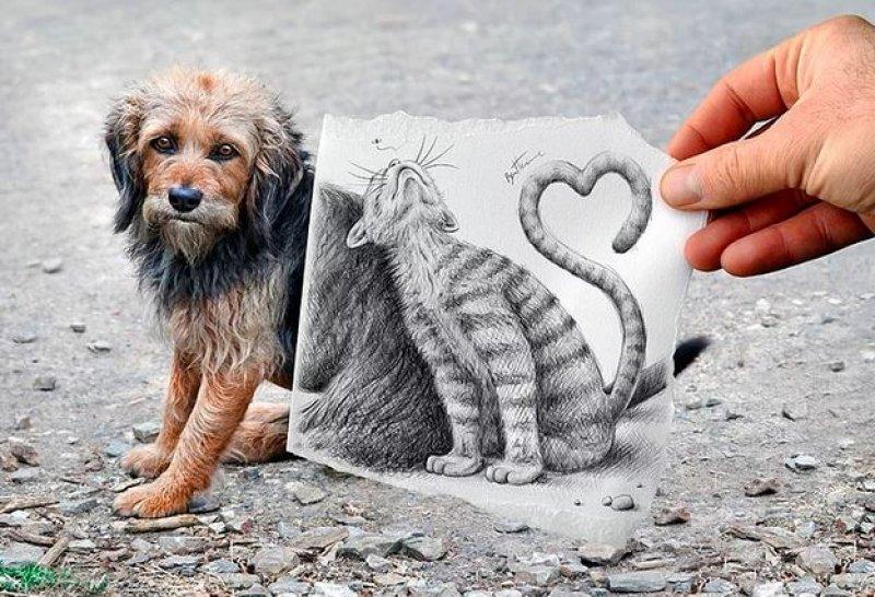 Mükemmel zamanlamayla çekilmiş en güzel fotoğraflar 