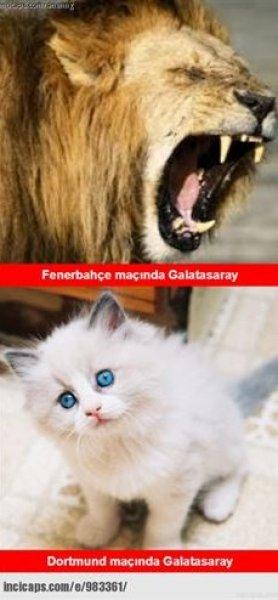 Sosyal medyada Galatasaray-Borussia Dortmund capsleri