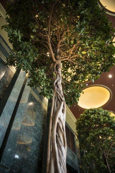 Yeni Cumhurbaşkanlığı binası 