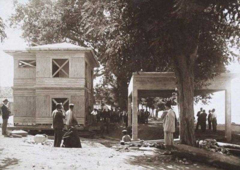 Atatürk Yalova'daki ağacın kesilmesini engellemişti