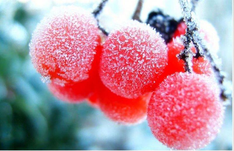 Doğadan soğuk sanat eserleri 