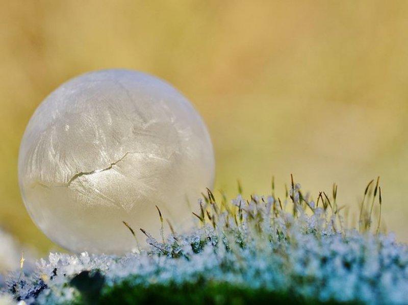 Doğadan soğuk sanat eserleri 