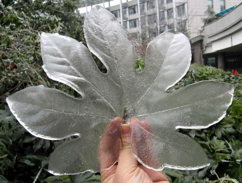 Doğadan soğuk sanat eserleri 