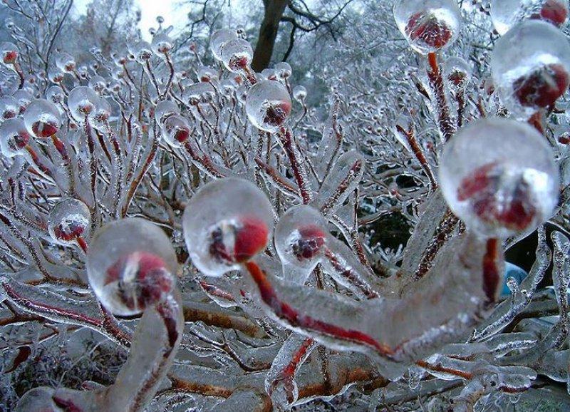 Doğadan soğuk sanat eserleri 