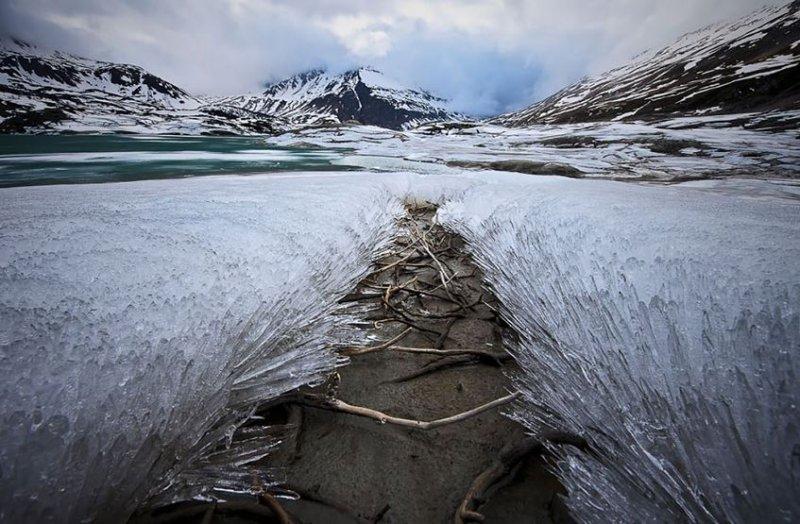 Doğadan soğuk sanat eserleri 