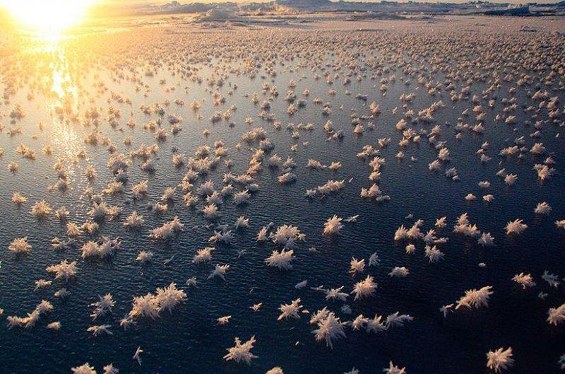 Doğadan soğuk sanat eserleri 