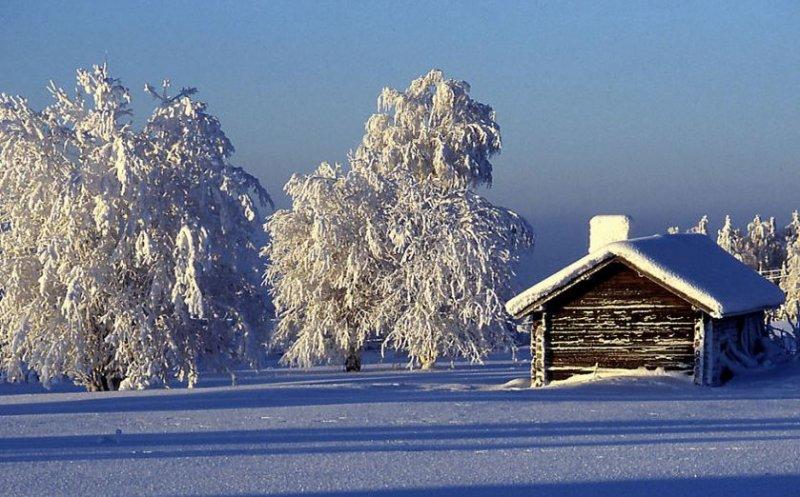Doğadan soğuk sanat eserleri 