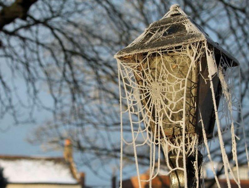 Doğadan soğuk sanat eserleri 