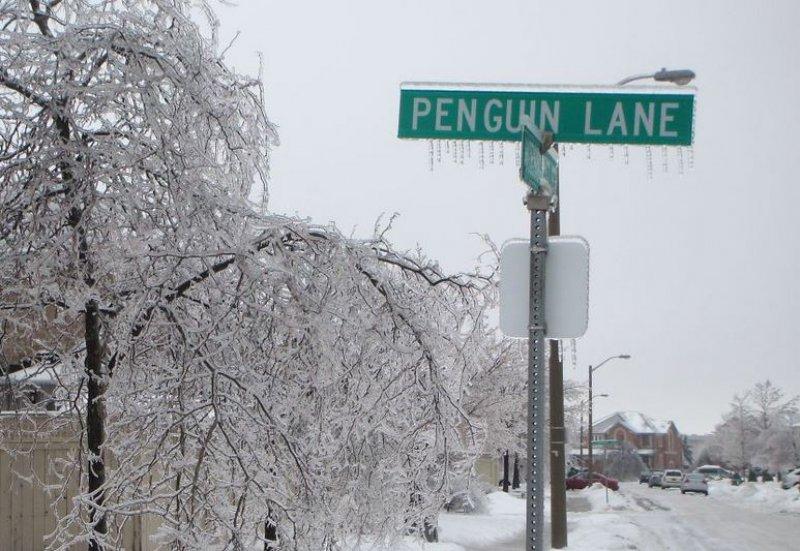 Doğadan soğuk sanat eserleri 