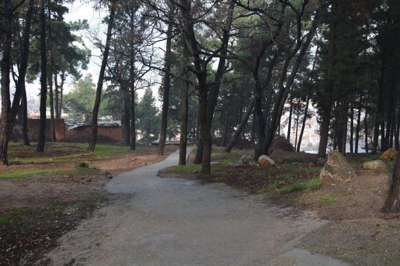 Şehzadeler Belediyesi engelli kız için yol yaptı