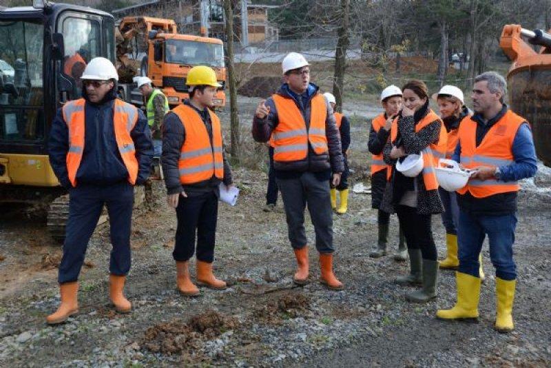 Türkiye'nin en büyük ağaç taşıma operasyonu