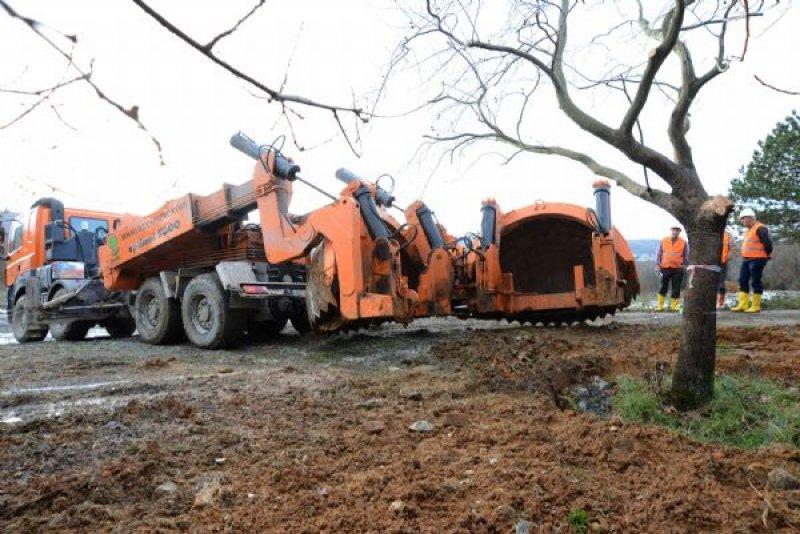 Türkiye'nin en büyük ağaç taşıma operasyonu