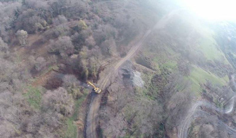 Türkiye'nin en büyük ağaç taşıma operasyonu