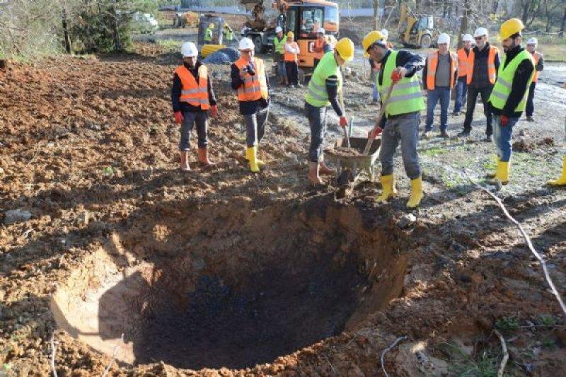 Türkiye'nin en büyük ağaç taşıma operasyonu