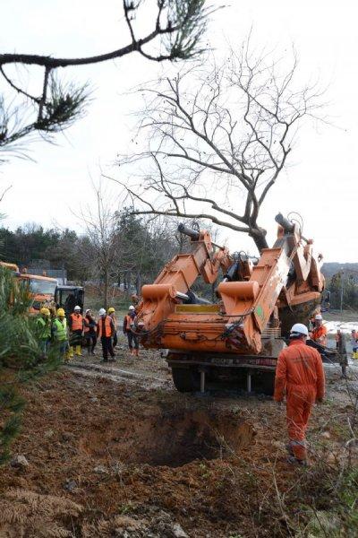 Türkiye'nin en büyük ağaç taşıma operasyonu