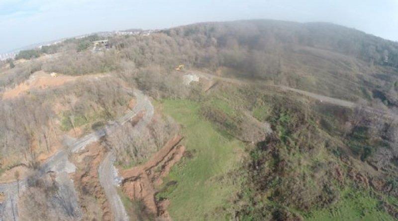 Türkiye'nin en büyük ağaç taşıma operasyonu