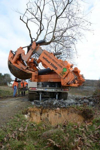 Türkiye'nin en büyük ağaç taşıma operasyonu