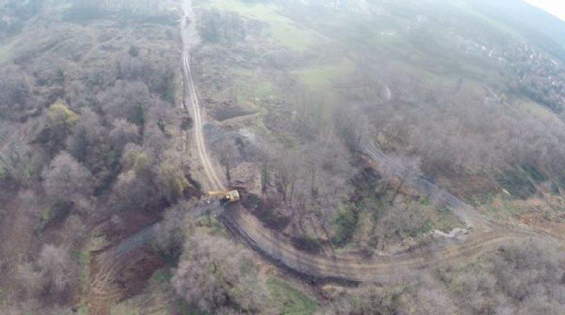 Türkiye'nin en büyük ağaç taşıma operasyonu