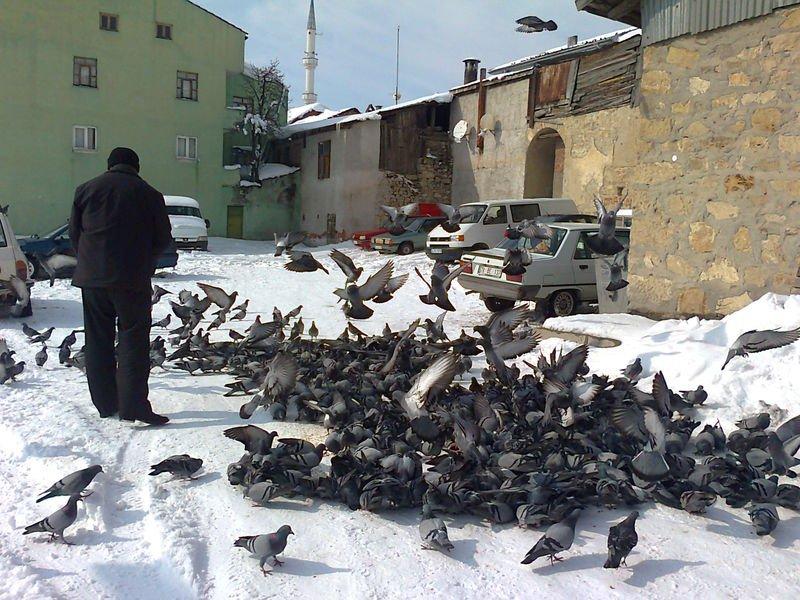 Bazı illerde kar yağışı etkili oldu