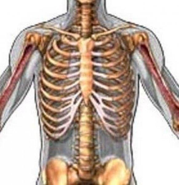 113 yaşındaki ABD'li yazardan uzun yaşamanın sırrı