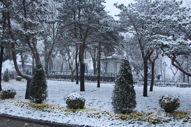 İstanbul'da kar yağışı etkili oldu - Resim 11