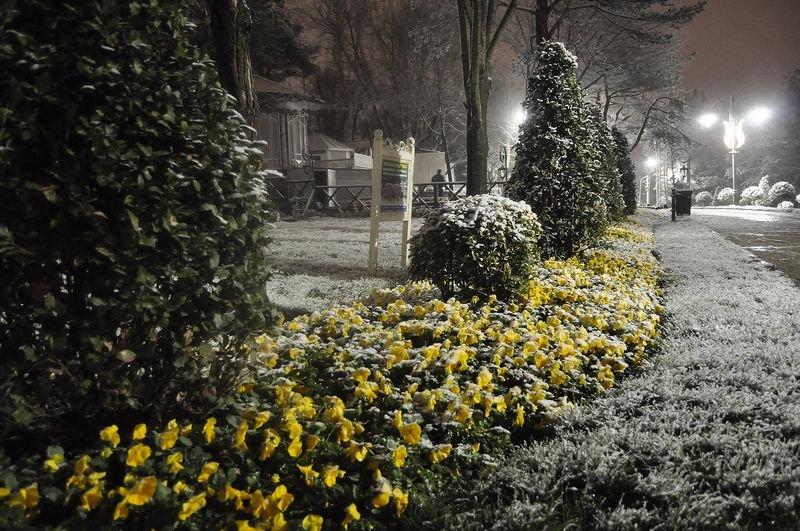 İstanbul'da kar yağışı etkili oldu - Resim 16