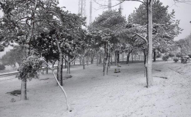 İstanbul'da kar yağışı etkili oldu - Resim 45