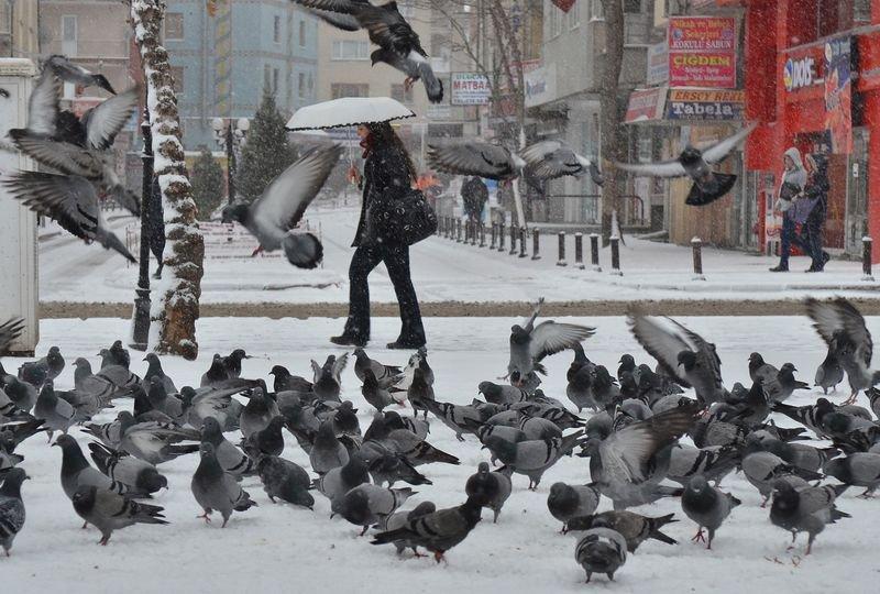 Ankara'da yoğun kar yağışı 