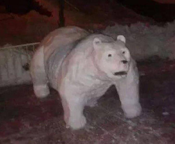 Yurttan kardan adam görüntüleri