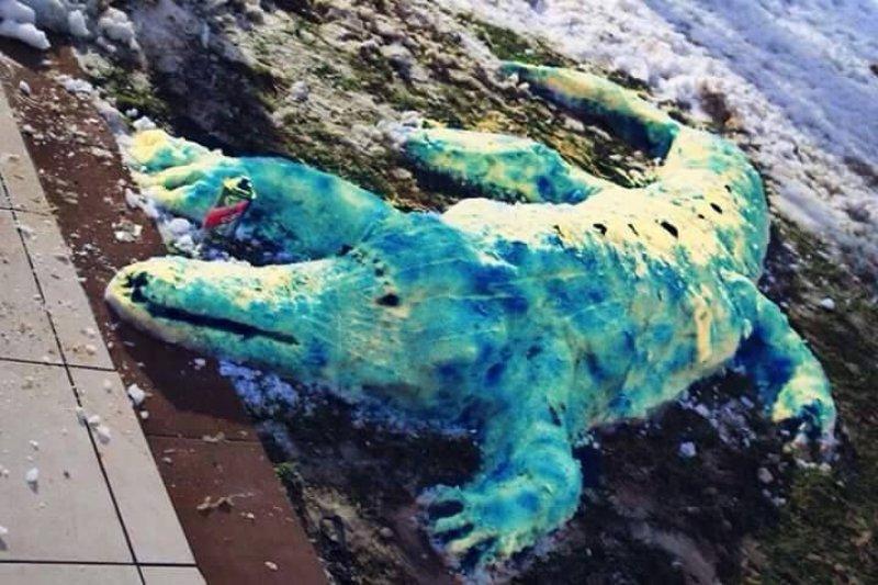 Yurttan kardan adam görüntüleri