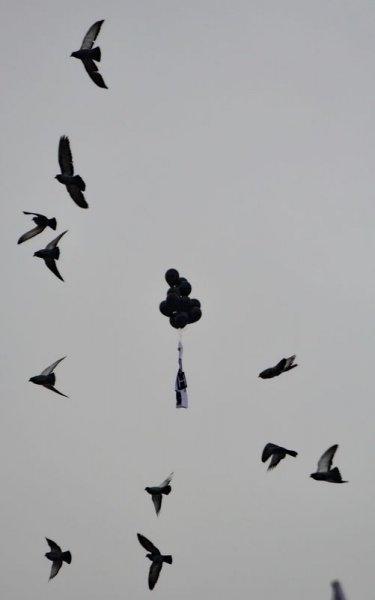 Paris'te binlerce kişi teröre karşı toplandı