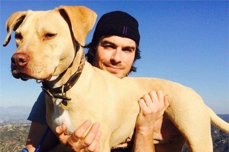 İşte en popüler Instagram hesapları