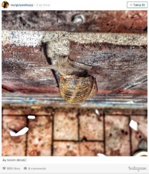 Nurgül Yeşilçay'ın Instagram günlüğü