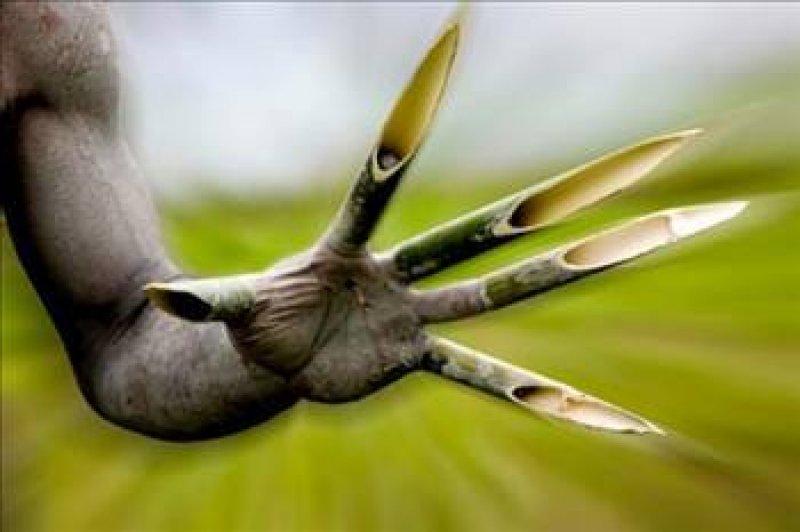 Bilinmeyen en garip gelenekler