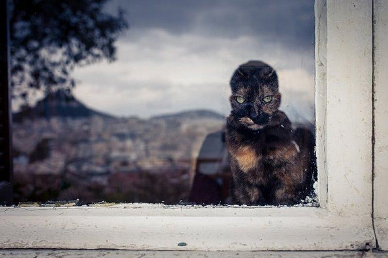 Fotoğraf paylaşım sitesi Flickr en iyileri seçti 