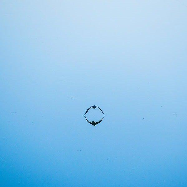 Fotoğraf paylaşım sitesi Flickr en iyileri seçti 