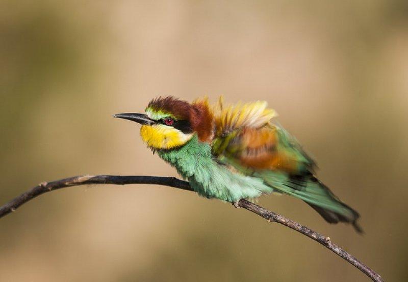 Fotoğraf paylaşım sitesi Flickr en iyileri seçti 