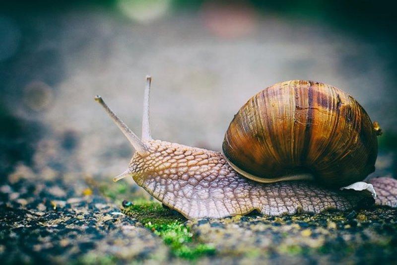 Fotoğraf paylaşım sitesi Flickr en iyileri seçti 