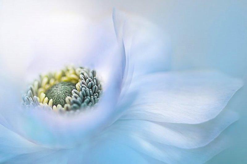 Fotoğraf paylaşım sitesi Flickr en iyileri seçti 