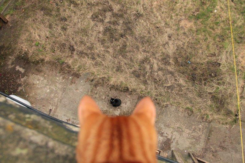 Fotoğraf paylaşım sitesi Flickr en iyileri seçti 