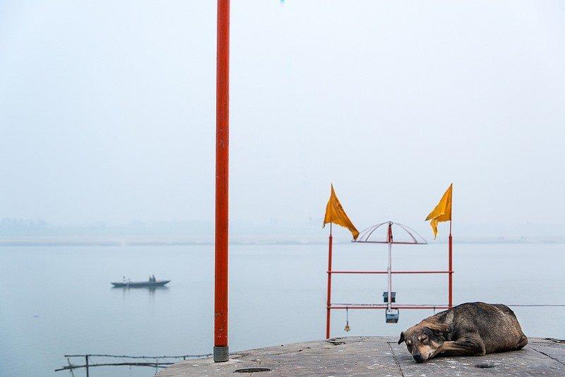 Fotoğraf paylaşım sitesi Flickr en iyileri seçti 