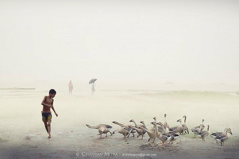 Fotoğraf paylaşım sitesi Flickr en iyileri seçti 