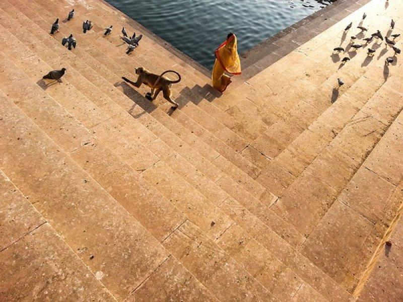 Fotoğraf paylaşım sitesi Flickr en iyileri seçti 