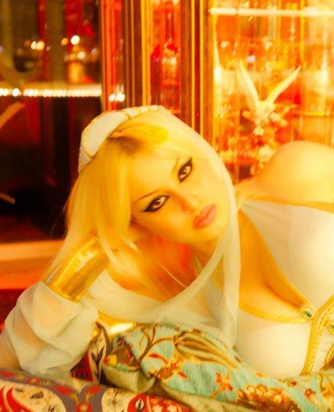 Adnan Hoca'nın kediciği Gülşah Güçyetmez