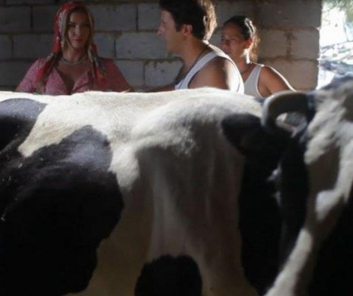 Ivana Sert süt sağdı