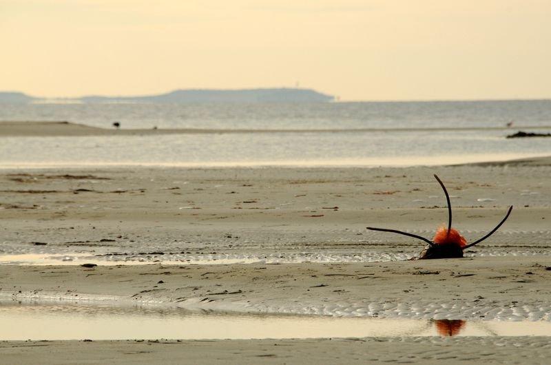 Çanakkale Boğazı'nda deniz suyu çekildi